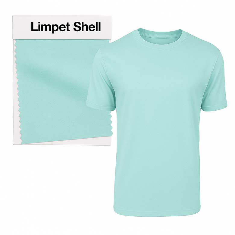 3191-Limpet-Shell-780SQ